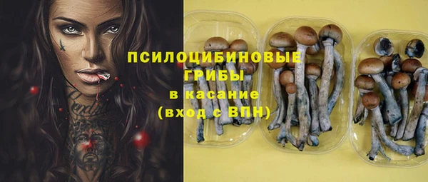 шишки Сосновка